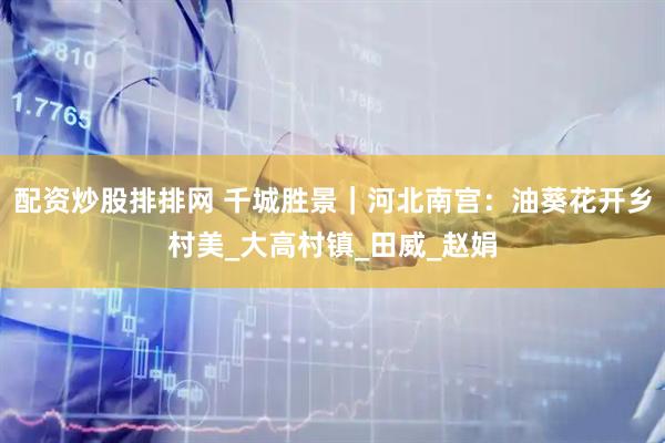 配资炒股排排网 千城胜景｜河北南宫：油葵花开乡村美_大高村镇_田威_赵娟