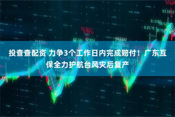 投查查配资 力争3个工作日内完成赔付！广东互保全力护航台风灾后复产