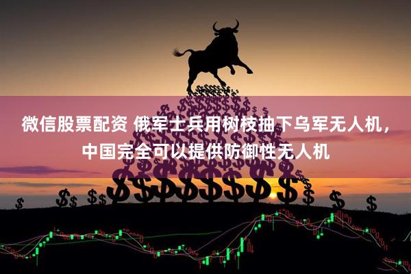 微信股票配资 俄军士兵用树枝抽下乌军无人机，中国完全可以提供防御性无人机